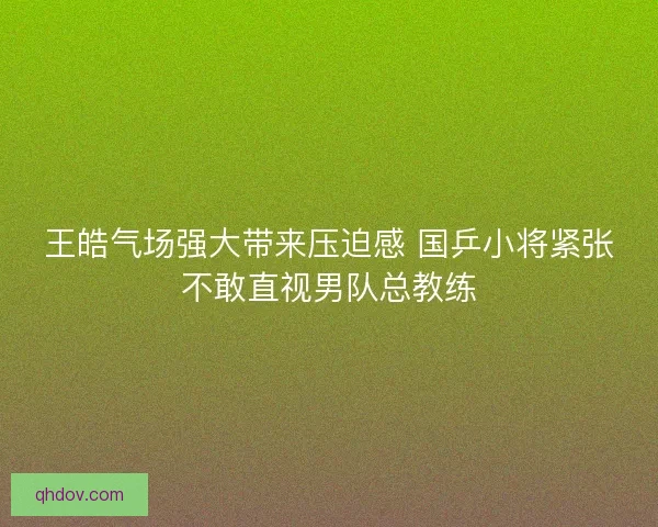 王皓气场强大带来压迫感 国乒小将紧张不敢直视男队总教练 王皓气场强大带来压迫感 国乒小将紧张不敢直视男队总教练