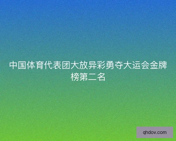 中国体育代表团大放异彩勇夺大运会金牌榜第二名